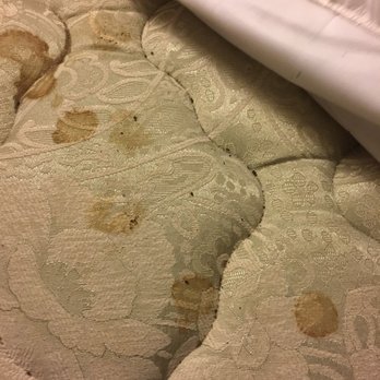 Naomi Village - The mattress with an active colony of "whatever". - Venues & Event Spaces Near Me - Mountainhome, Pennsylvania Naomi Village - The mattress with an active colony of "whatever". - Venues & Event Spaces Near Me - Mountainhome, Pennsylvania