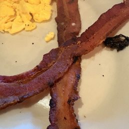 Burnt and day old bacon