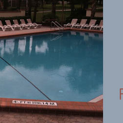 My Guy Pool Service