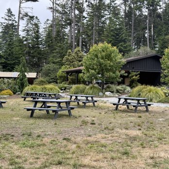 Mendocino Grove - Campgrounds Near Me - Mendocino, California