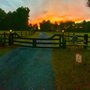 Diamond Creek Farm