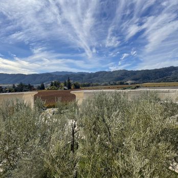 Opus One Winery - View from rooftop terrace - Wineries Near Me - Oakville, California
