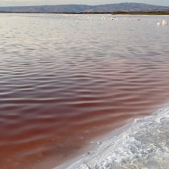 Alviso Marina County Park - Parks Near Me - Alviso, California