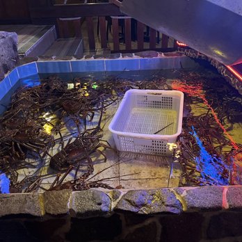 Skip Jack's - Lobster Tank - Restaurants Near Me - Sint Maarten, New Hampshire