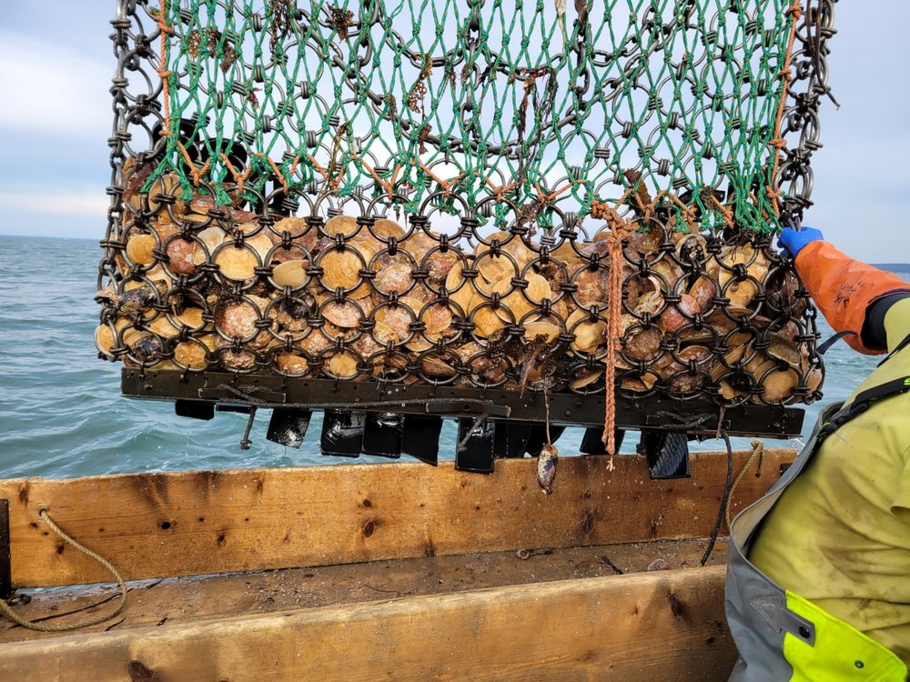 EATN LOBSTER Updated September 2024 19 Photos 531 Ellsworth Rd