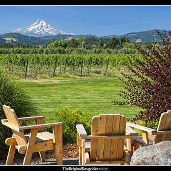 Mt Hood Winery - a view of mt hood from the patio - Wineries Near Me - Hood River, Oregon Mt Hood Winery - a view of mt hood from the patio - Wineries Near Me - Hood River, Oregon
