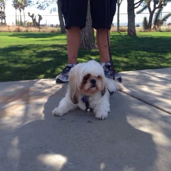 Forrest E Hull Park - Cinnamon is taking a break. - Dog Parks Near Me - Lancaster, California Forrest E Hull Park - Cinnamon is taking a break. - Dog Parks Near Me - Lancaster, California