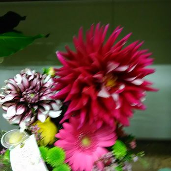 Clifford's Flowers - These are the Dahlia's - Florists Near Me - Quincy, Massachusetts Clifford's Flowers - These are the Dahlia's - Florists Near Me - Quincy, Massachusetts