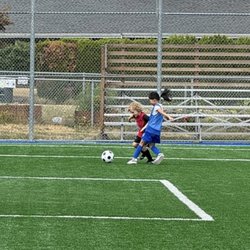 Tiger Youth Soccer