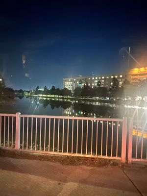 Bayou St John by null