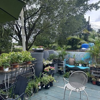 Ginkgo Gardens - 2nd floor patio - Nurseries & Gardening Near Me - Washington, DC, District of Columbia Ginkgo Gardens - 2nd floor patio - Nurseries & Gardening Near Me - Washington, DC, District of Columbia