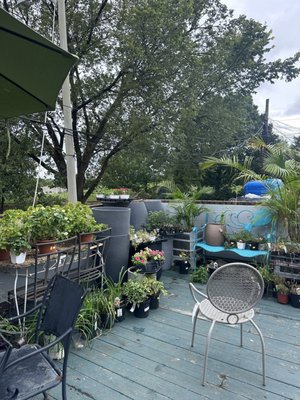 Ginkgo Gardens by null