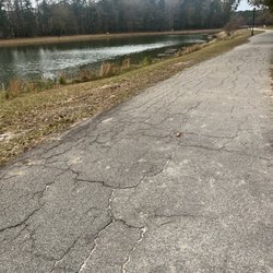 Tom Tripplet Dog Park