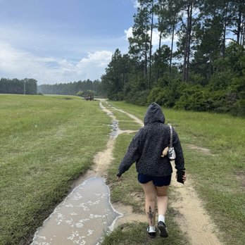 Bamahenge - Path to dinosaurs - Local Flavor Near Me - Elberta, Alabama