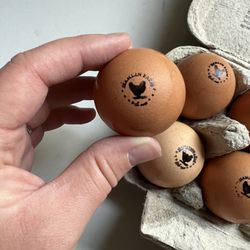 Bakersfield Rubber Stamp - Custom egg stamp