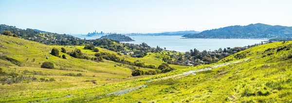 Ring Mountain Preserve by null