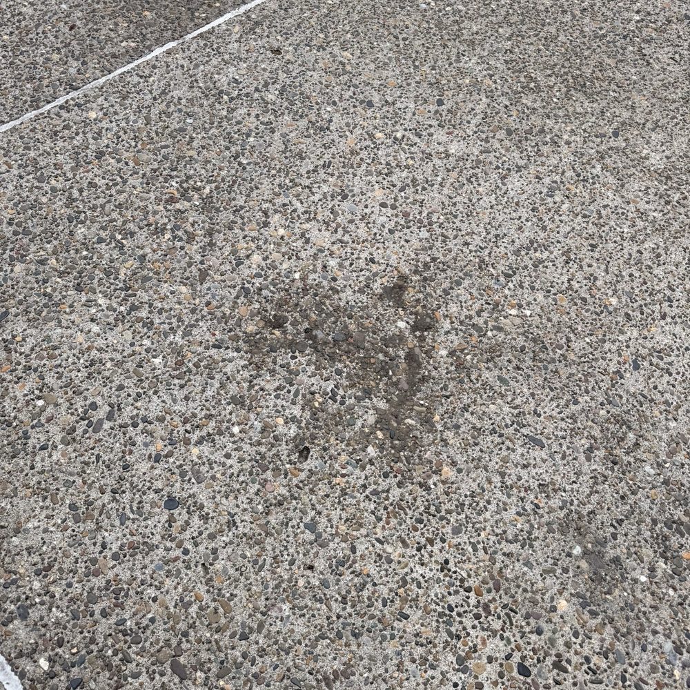 Dapper Pros Mobile Auto Detailing - Filthy driveway AFTER I leaf blew it to try and move some dirt off. (notice the rest of the driveway was recently pressure washed) - Auto Detailing Near Me Dapper Pros Mobile Auto Detailing - Filthy driveway AFTER I leaf blew it to try and move some dirt off. (notice the rest of the driveway was recently pressure washed) - Auto Detailing Near Me
