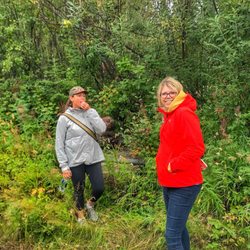 Chena River State Recreation Area - Eating some wild blueberries