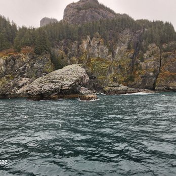 Kenai Fjords Tours - Boat Tours Near Me - Seward, Alaska