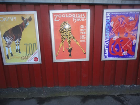 Copenhagen Zoo by null