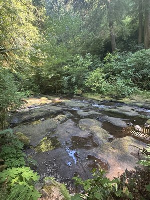 Oswald West State Park by null