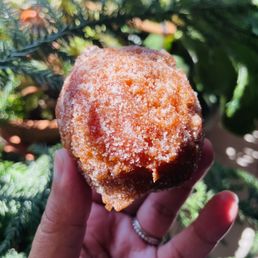 Donut