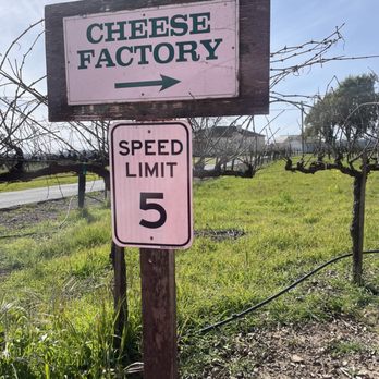 Joe Matos Cheese Factory - Follow the signs lol - Cheese Shops Near Me - Santa Rosa, California Joe Matos Cheese Factory - Follow the signs lol - Cheese Shops Near Me - Santa Rosa, California