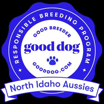 North Idaho Aussies - Pet Breeders Near Me North Idaho Aussies - Pet Breeders Near Me
