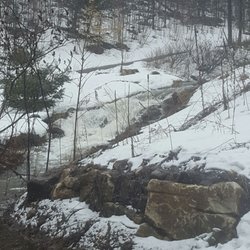 Cartwright Springs