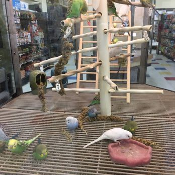 Petco - Cute! - Pet Training Near Me - Patchogue, New York