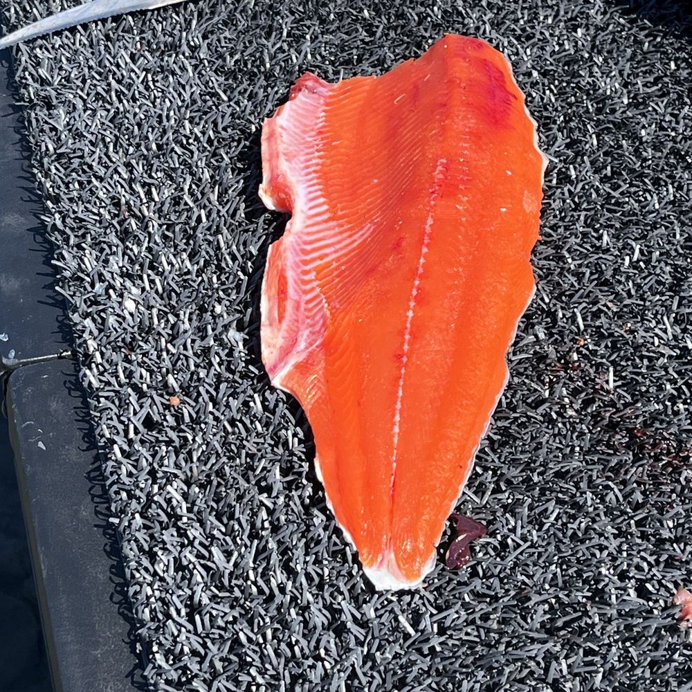 Salmon Catcher Lodge - Fishing Near Me - Kenai, Alaska Salmon Catcher Lodge - Fishing Near Me - Kenai, Alaska