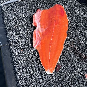 Salmon Catcher Lodge - Fishing Near Me - Kenai, Alaska Salmon Catcher Lodge - Fishing Near Me - Kenai, Alaska