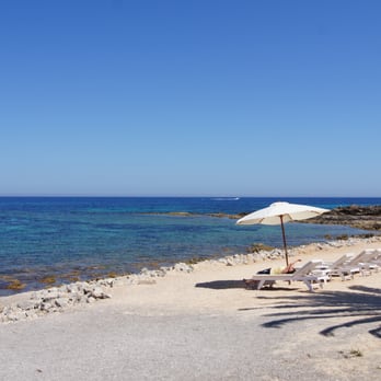 Jacaranda - Hookah Bars Near Me - Santa Eulària des Riu, PM