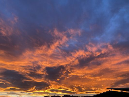 Willow Beach Marina by null