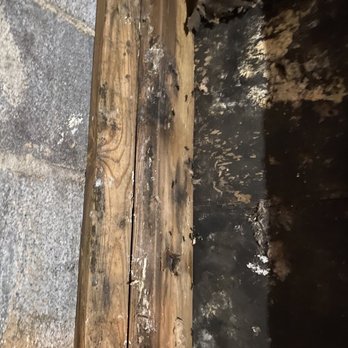 Carranza Roofing & Remodeling - Moldy, exposed brick/wood in closet.  Carranza knew our closet looked like this and didn't return my calls to fix it for months. - Roofing Near Me - Collegeville, Pennsylvania