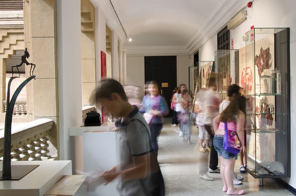 Casa de la Ciencia by null