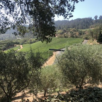Promontory - View past water trough to Bond and Futo - Wineries Near Me - Oakville, California
