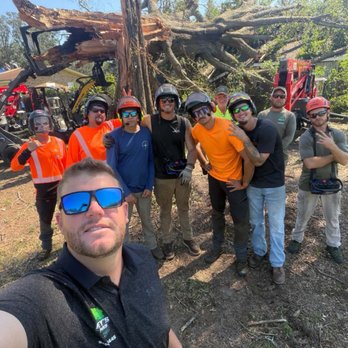 Legatum Property Professionals - Tree Services Near Me - Valrico, Florida Legatum Property Professionals - Tree Services Near Me - Valrico, Florida