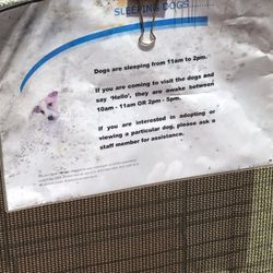 Rspca - The barrier to stop people from looking at the dogs at a current time