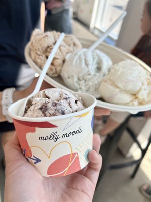 Molly Moon's Homemade Ice Cream Bellevue by null