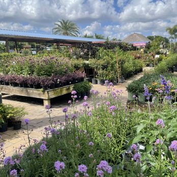 Flamingo Road Nursery - Herb garden - Nurseries & Gardening Near Me - Davie, Florida