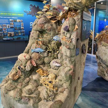 Reef Ocean Exploration Center - Visitor Centers Near Me - Key Largo, Florida Reef Ocean Exploration Center - Visitor Centers Near Me - Key Largo, Florida