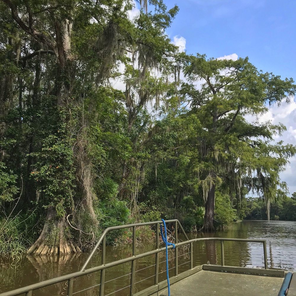 Pearl River Swamp Tours - Tours Near Me - Slidell, Louisiana Pearl River Swamp Tours - Tours Near Me - Slidell, Louisiana