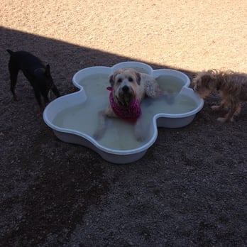 Camp Bow Wow Bixby - Pet Sitting Near Me - Bixby, Oklahoma Camp Bow Wow Bixby - Pet Sitting Near Me - Bixby, Oklahoma