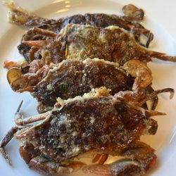 Four Star Seafood & Provisions - A springtime taste of the east coast ... soft-shell crabs.