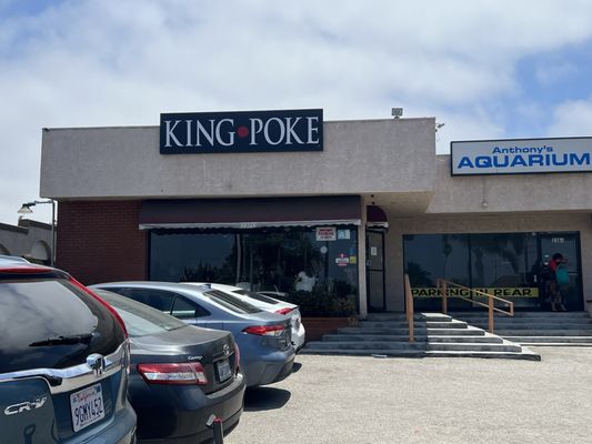 King Poke by null