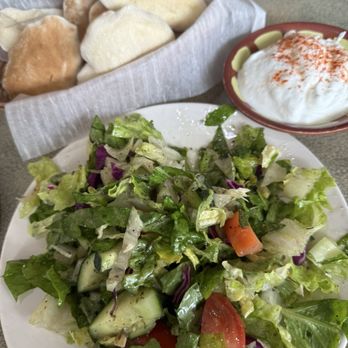 Oasis Mediterranean Cuisine - House salad, bread and garlic. - Mediterranean Near Me - Warren, Michigan Oasis Mediterranean Cuisine - House salad, bread and garlic. - Mediterranean Near Me - Warren, Michigan
