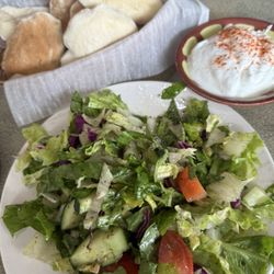 Oasis Mediterranean Cuisine - House salad, bread and garlic.