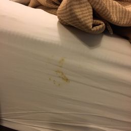 Blood on sheets. Blood on sheets.