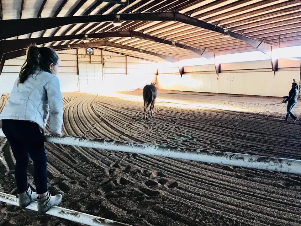 Sugar Creek Arena - equestrian in Elkland, MO